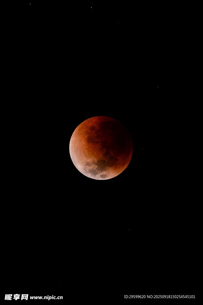紅月高懸夜空