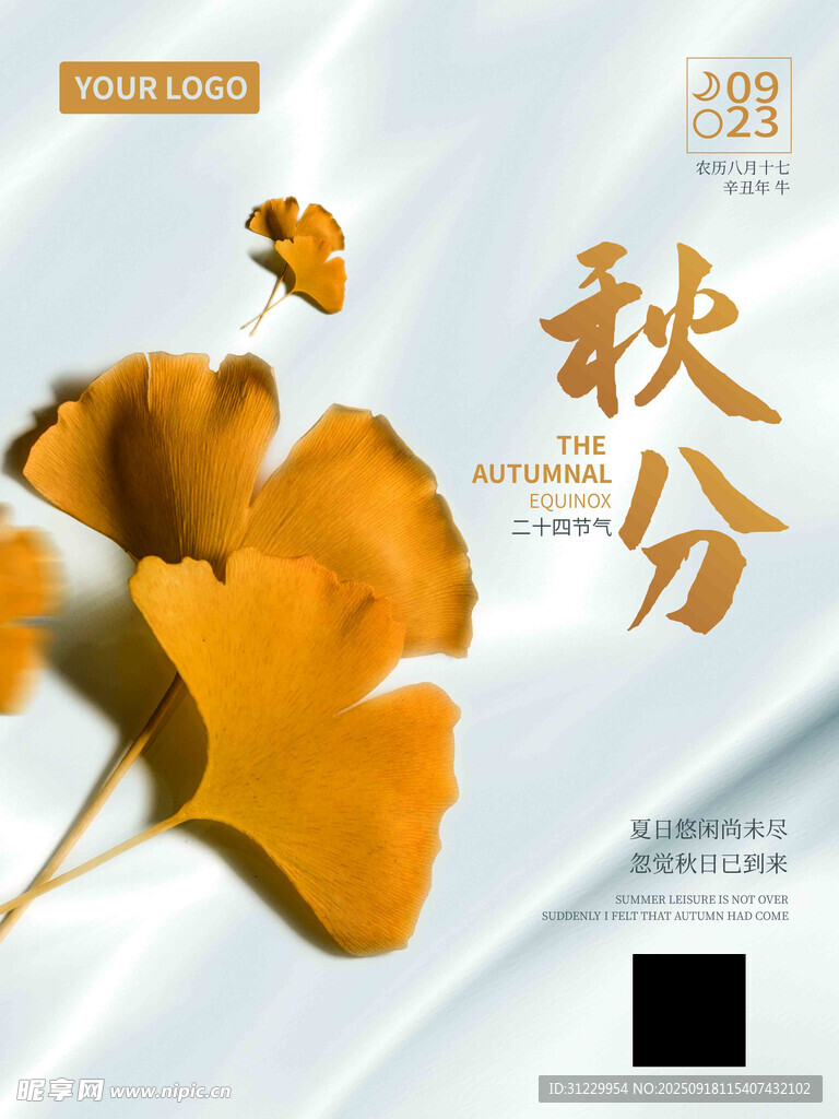 秋分時(shí)節(jié)銀杏葉之美