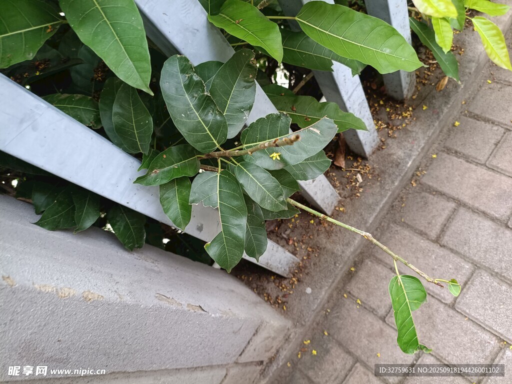 墻角綠植生機(jī)盎然
