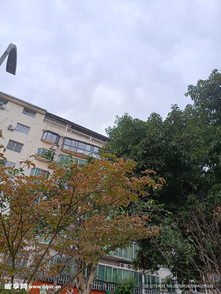 多層建筑旁的綠樹(shù)與飛鳥(niǎo)