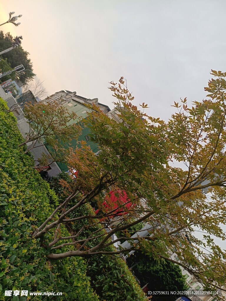 中式園林景致 