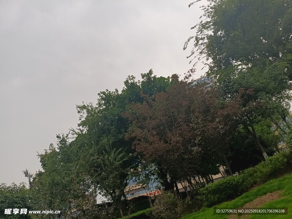 戶外綠樹草地風(fēng)景圖