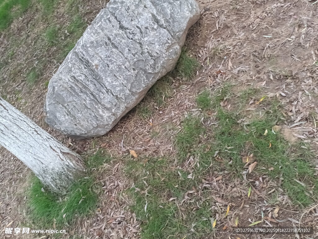 石塊旁的木樁與地面綠草