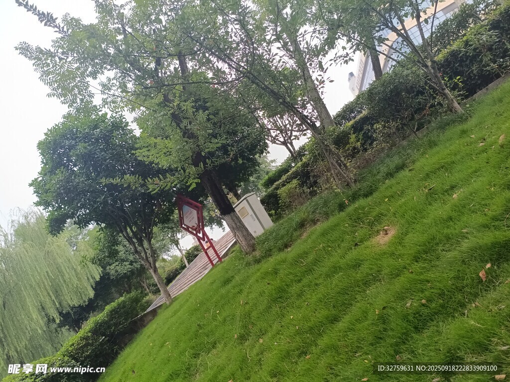 綠意盎然的戶外草地景觀