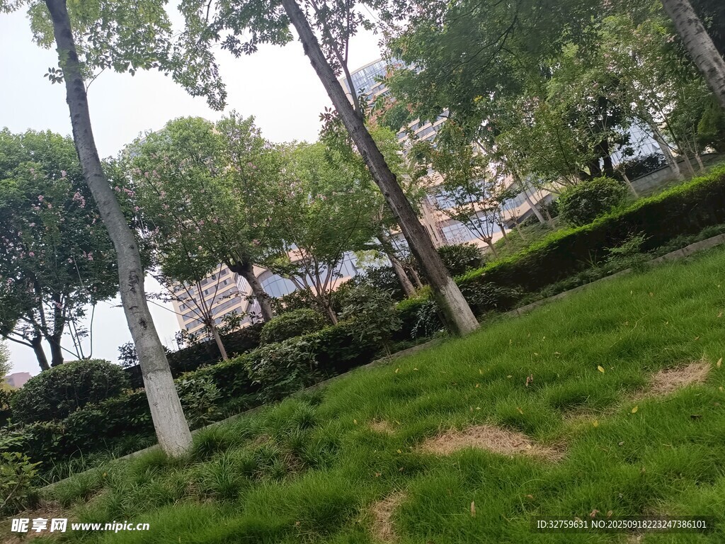 綠意盎然的城市園林景觀