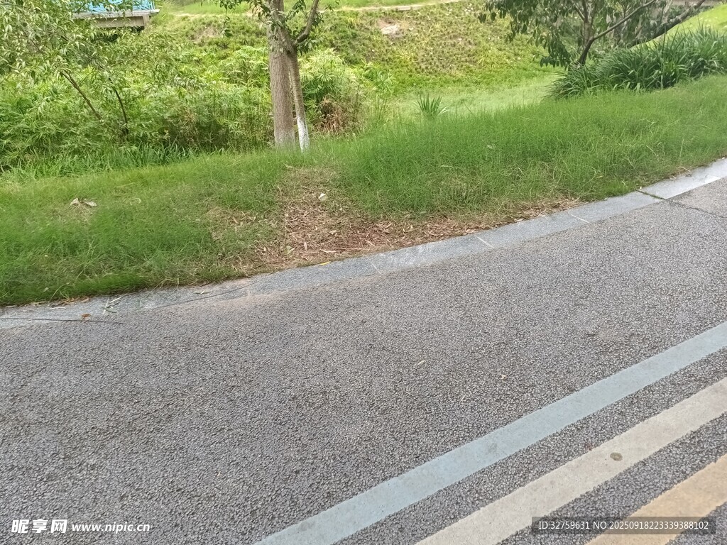 路邊綠意盎然的景致