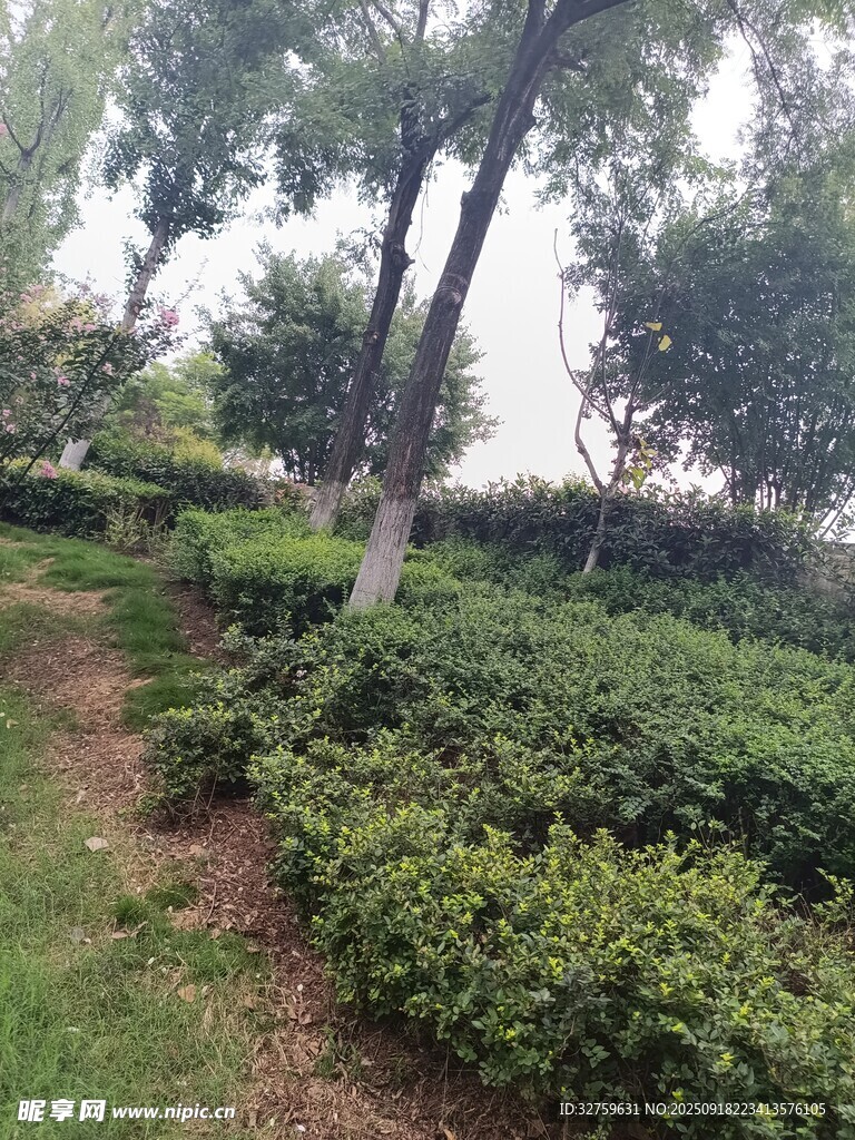 綠意盎然的園林小道