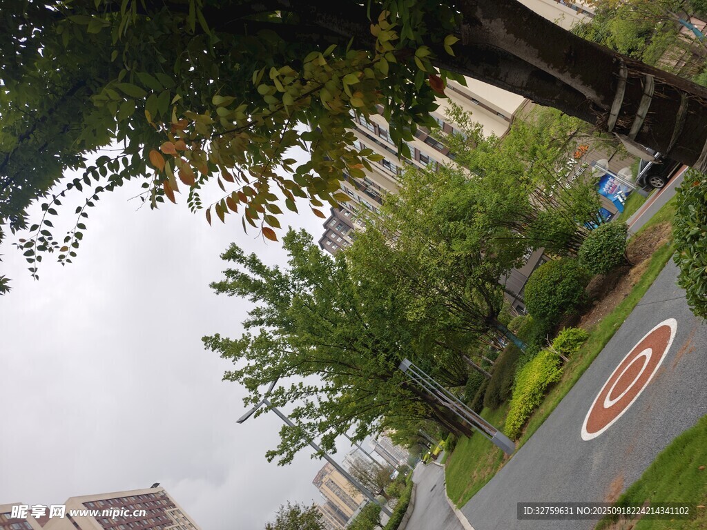 城市綠蔭下的道路景象