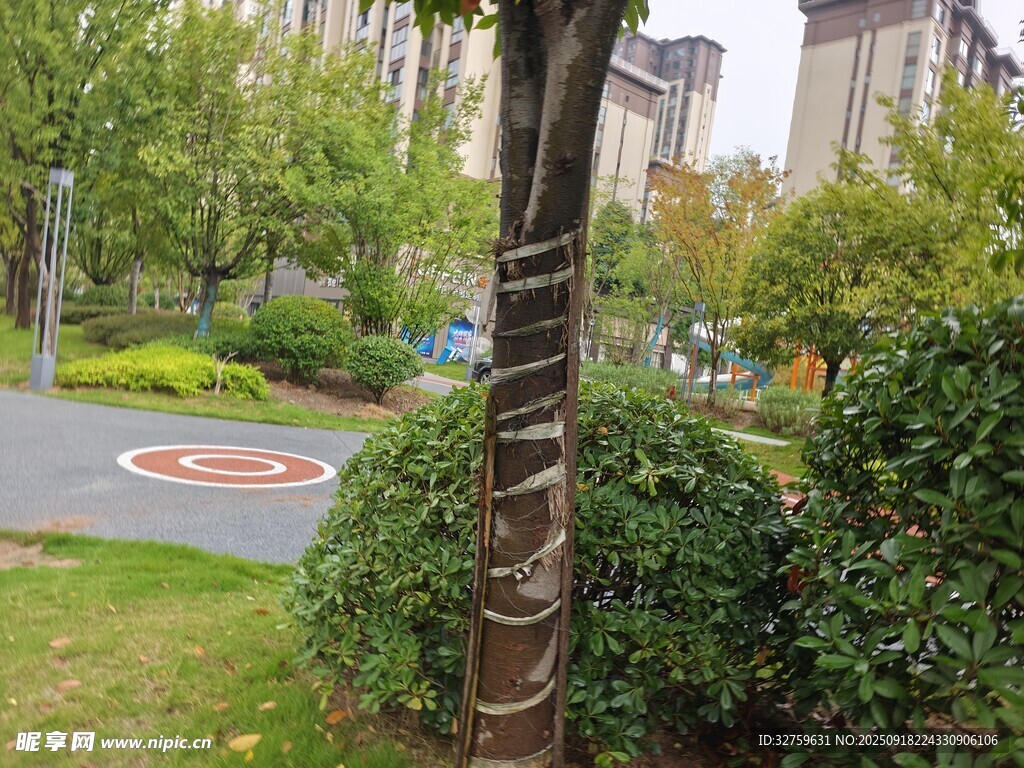 小區(qū)綠植旁的道路景觀