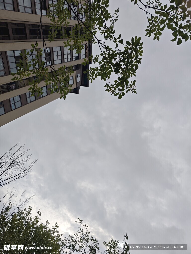 仰視視角下的建筑與綠樹