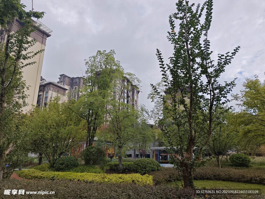 城市中的綠植景觀
