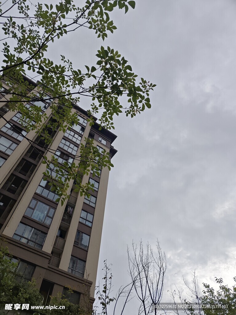 高層住宅與繁茂綠樹(shù)景觀