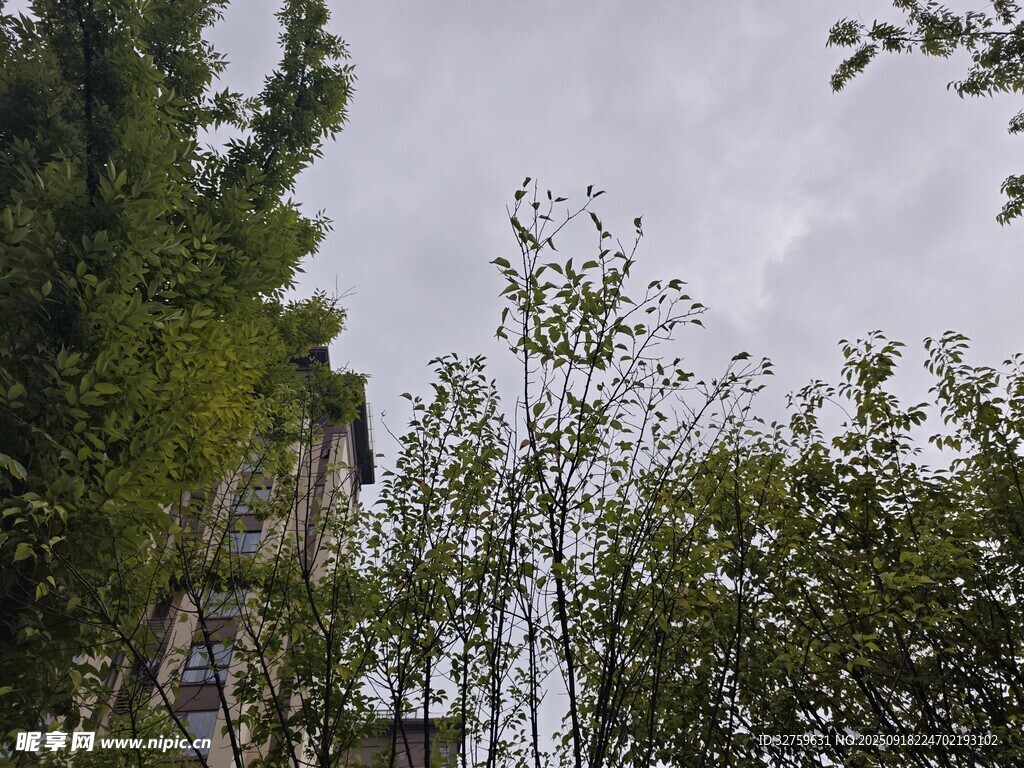 綠樹環(huán)繞的建筑一角
