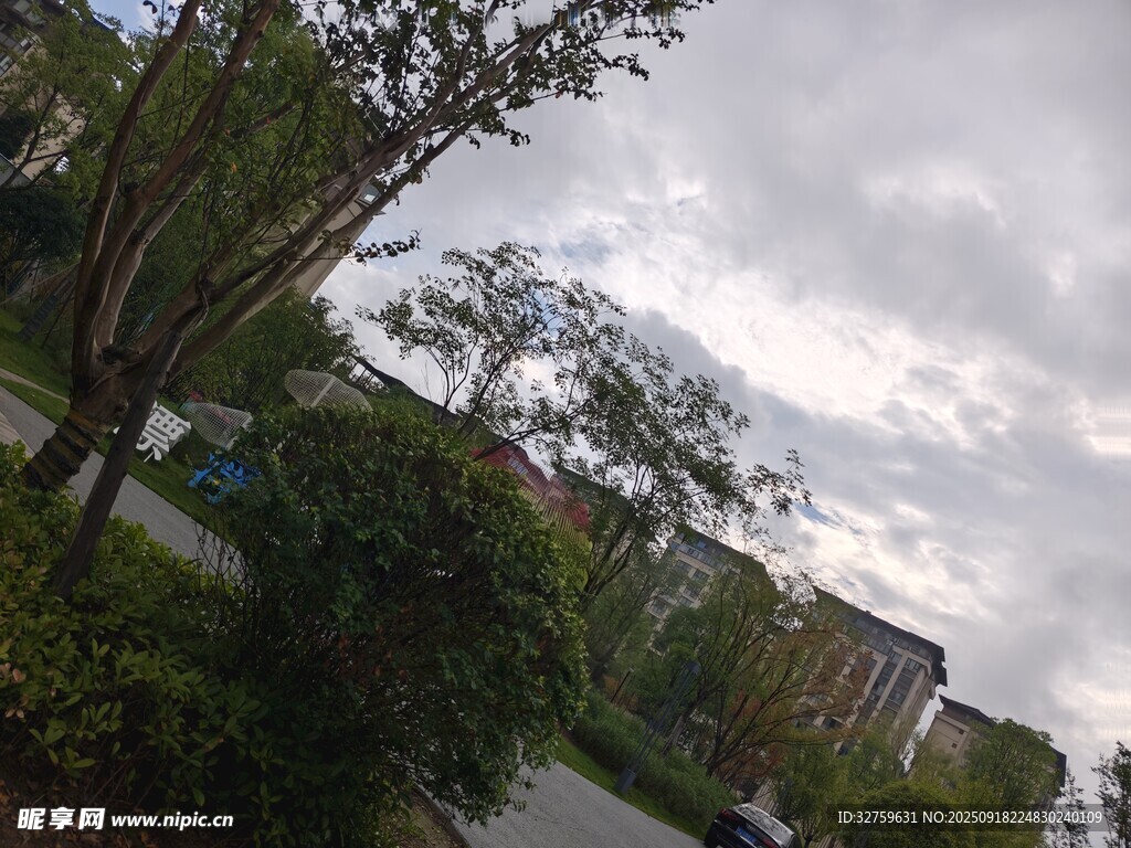 戶外林蔭小道風(fēng)景
