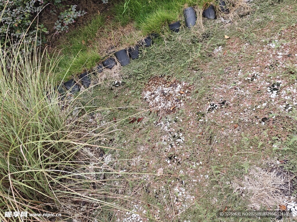 野外草地與黑色物體場景