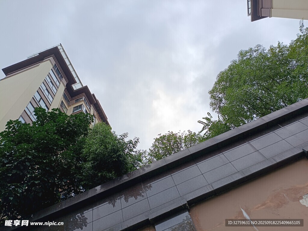 屋頂視角下的建筑與綠植
