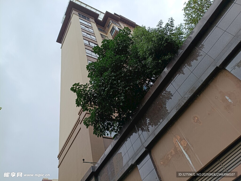 高樓旁茂盛綠植