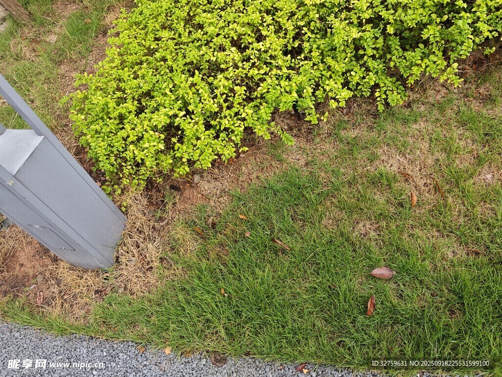 路邊綠植與灰色物件場景