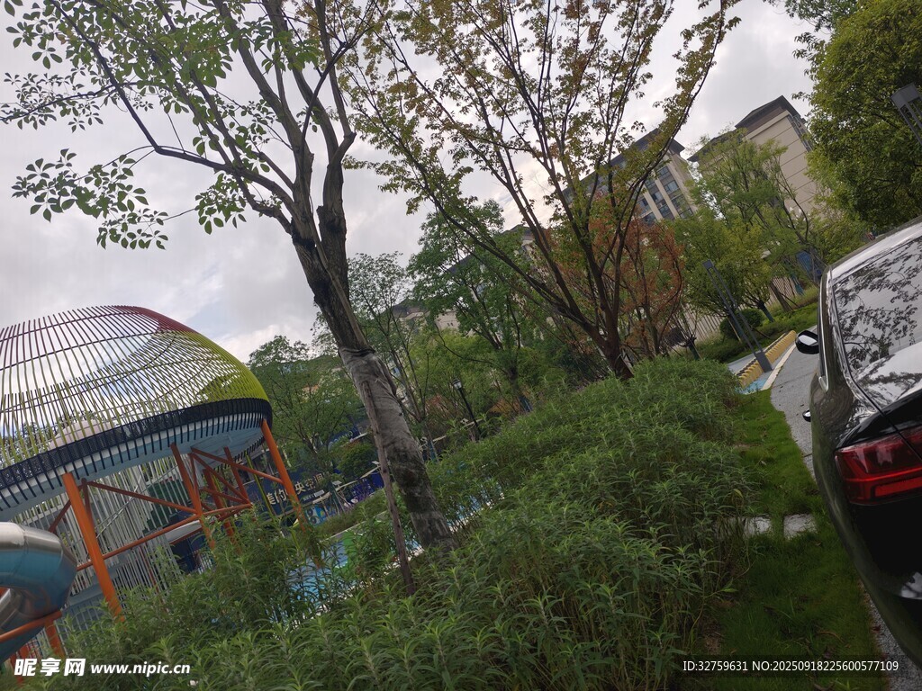 街道旁的綠植與多彩建筑