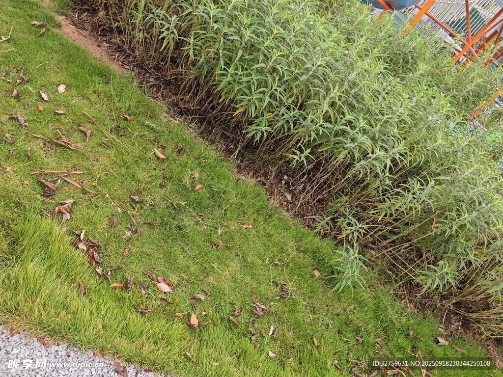 斜坡上的綠植與圍欄