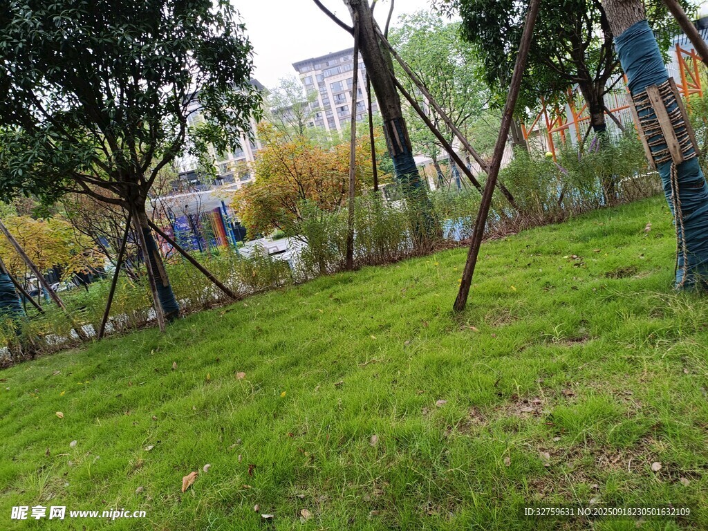 公園草地與樹(shù)木景觀