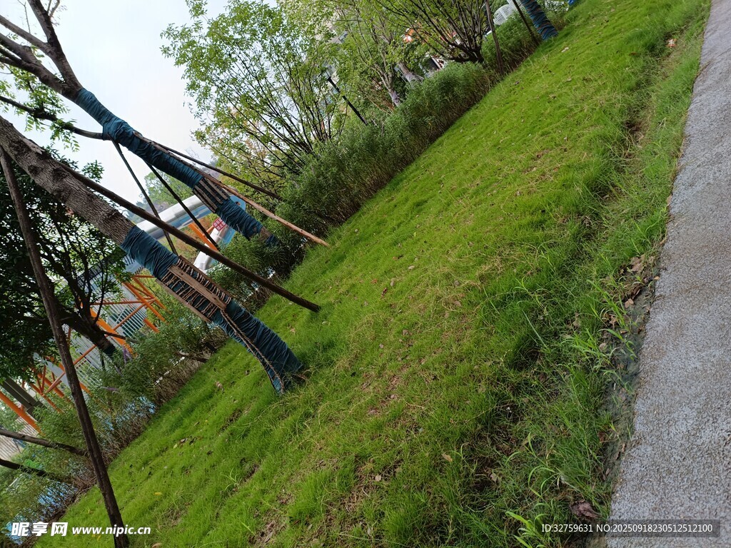 戶外草地旁的秋千場景