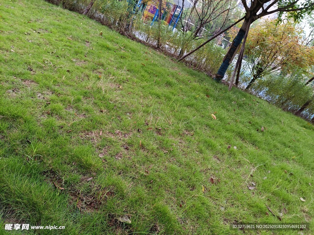 春日草地