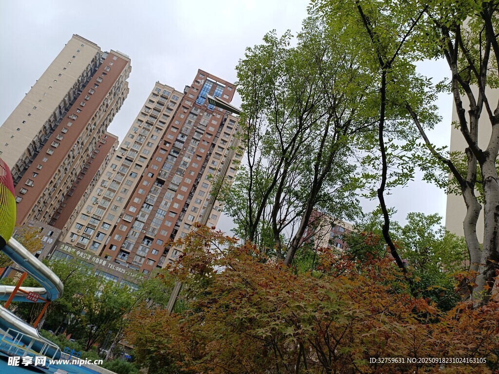 城市中樹木環(huán)繞的高樓景觀