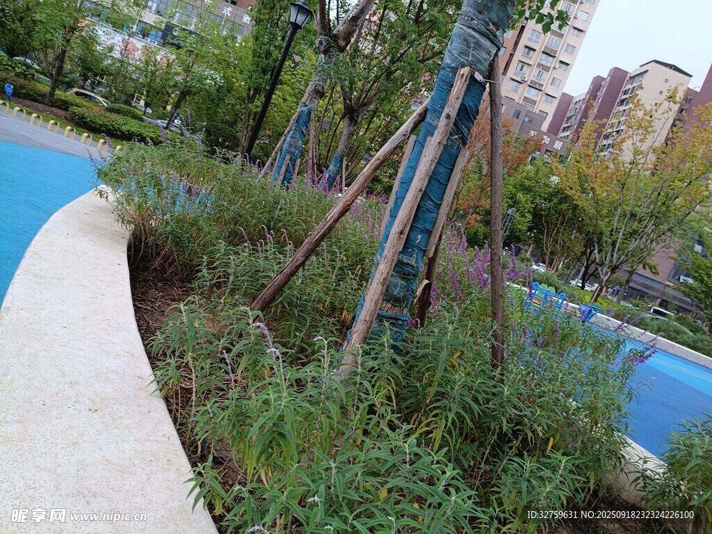 城市公園中的綠植景觀