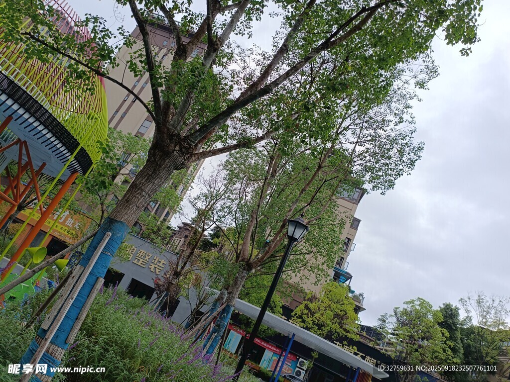 公園中的繁茂大樹與游樂設(shè)施