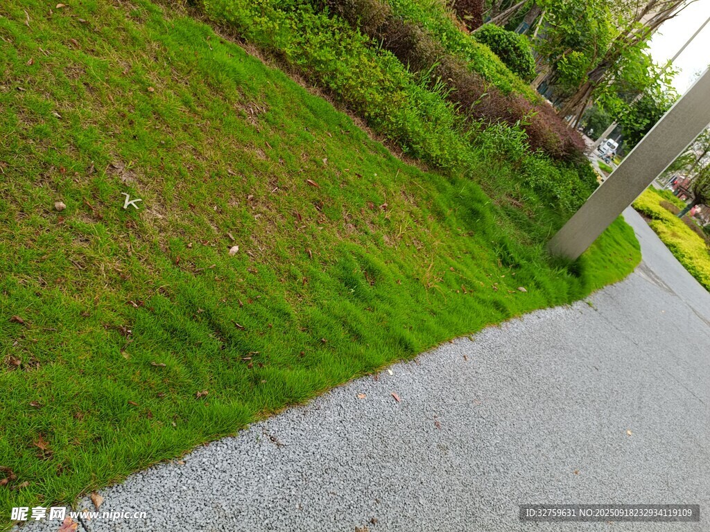 路邊翠綠草坪與灰色步道