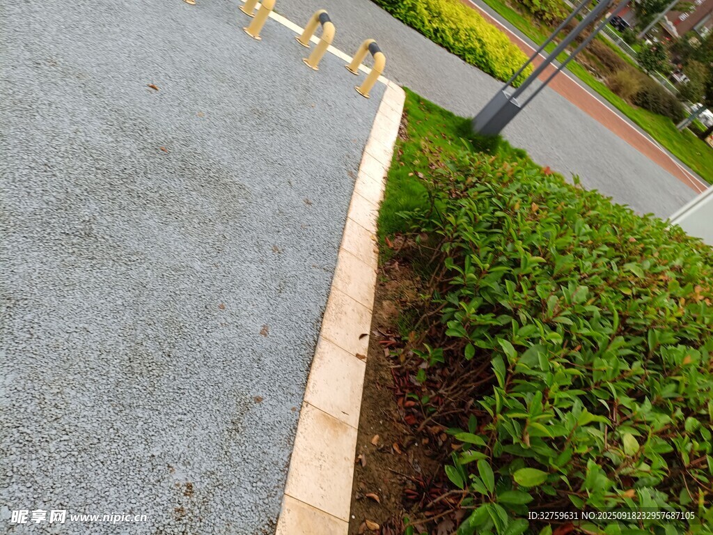 路邊綠植與灰色路面景觀
