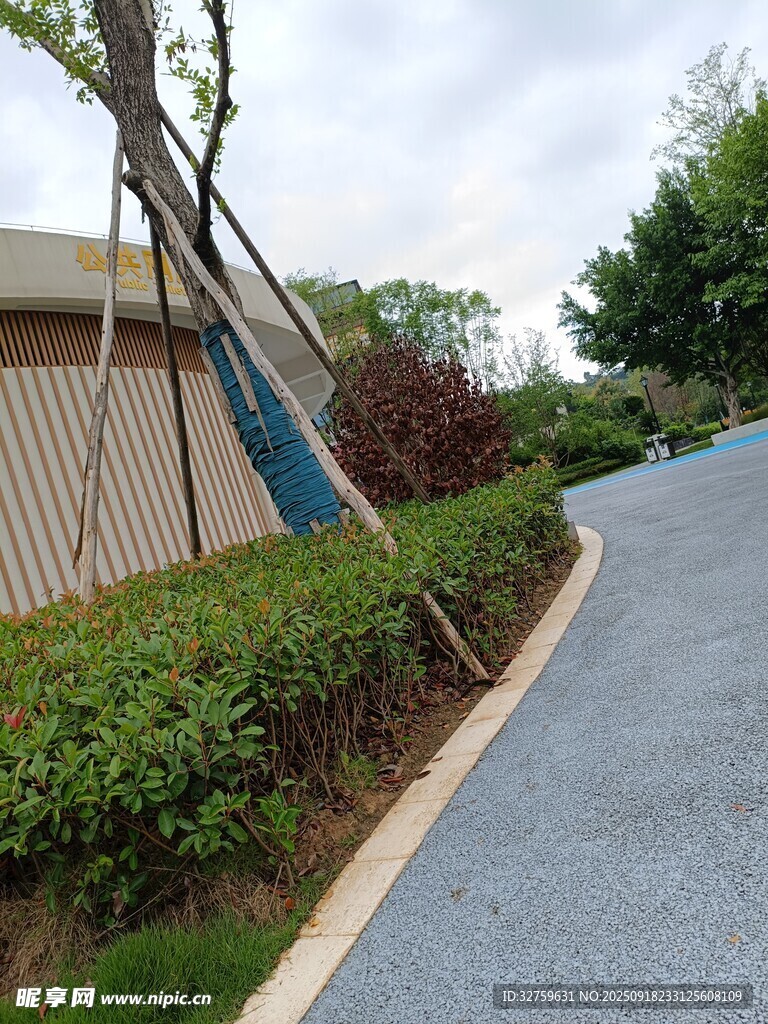 戶外休閑吊床與綠植小路