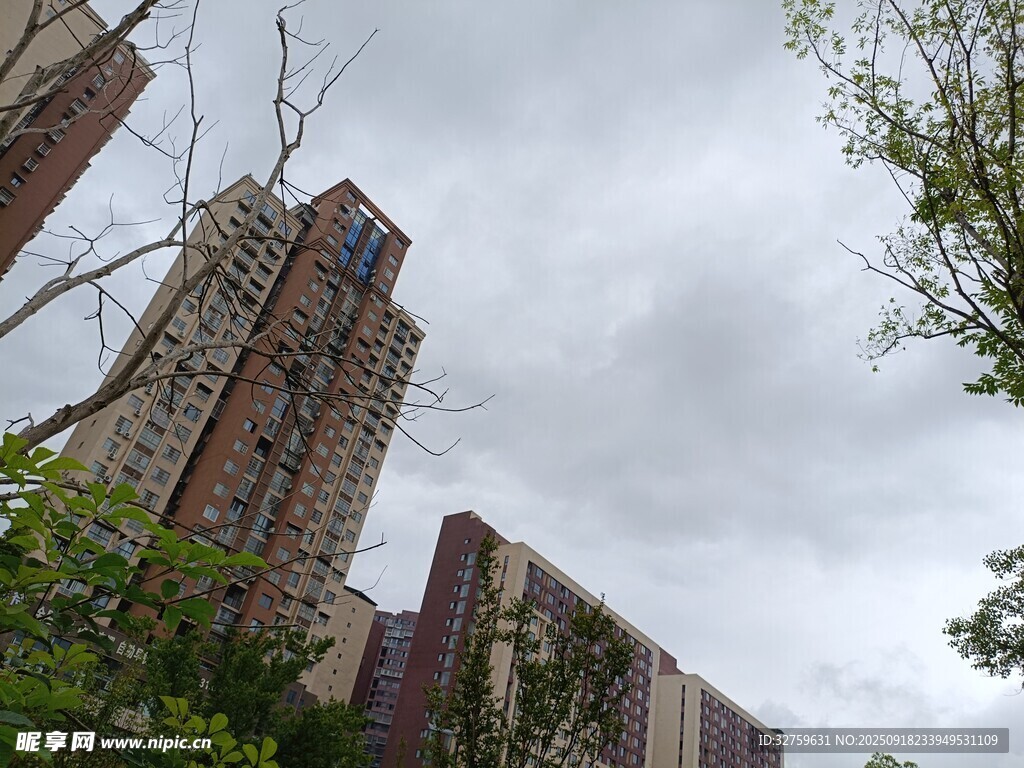 城市高樓與繁茂綠樹景觀