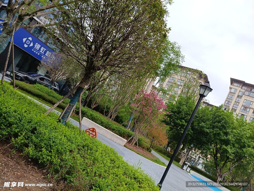 校園一角的綠植與建筑