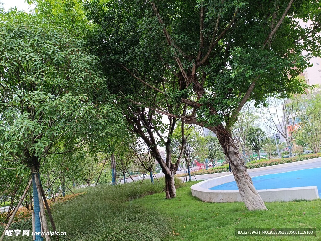 公園綠樹環(huán)繞的休閑場(chǎng)景
