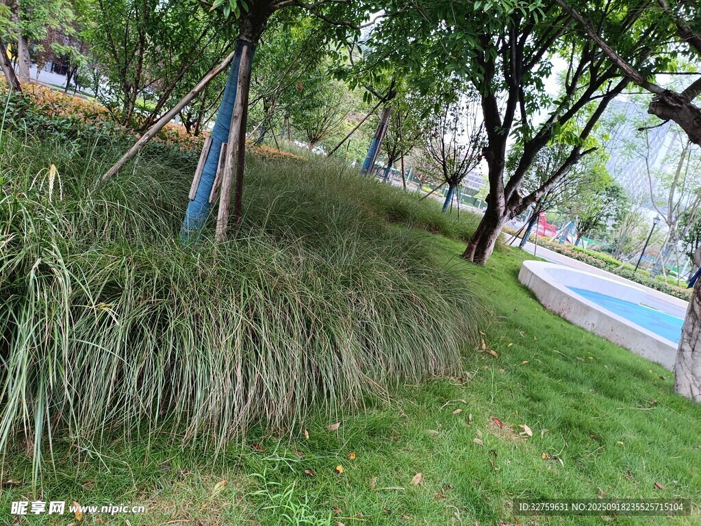 城市路邊綠意盎然的草地