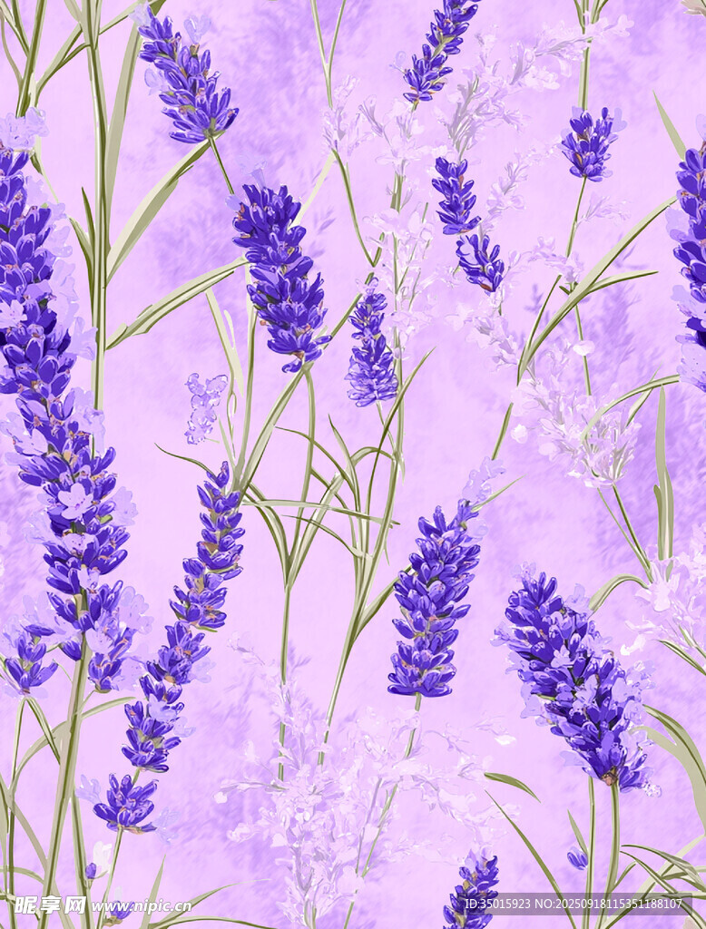 薰衣草