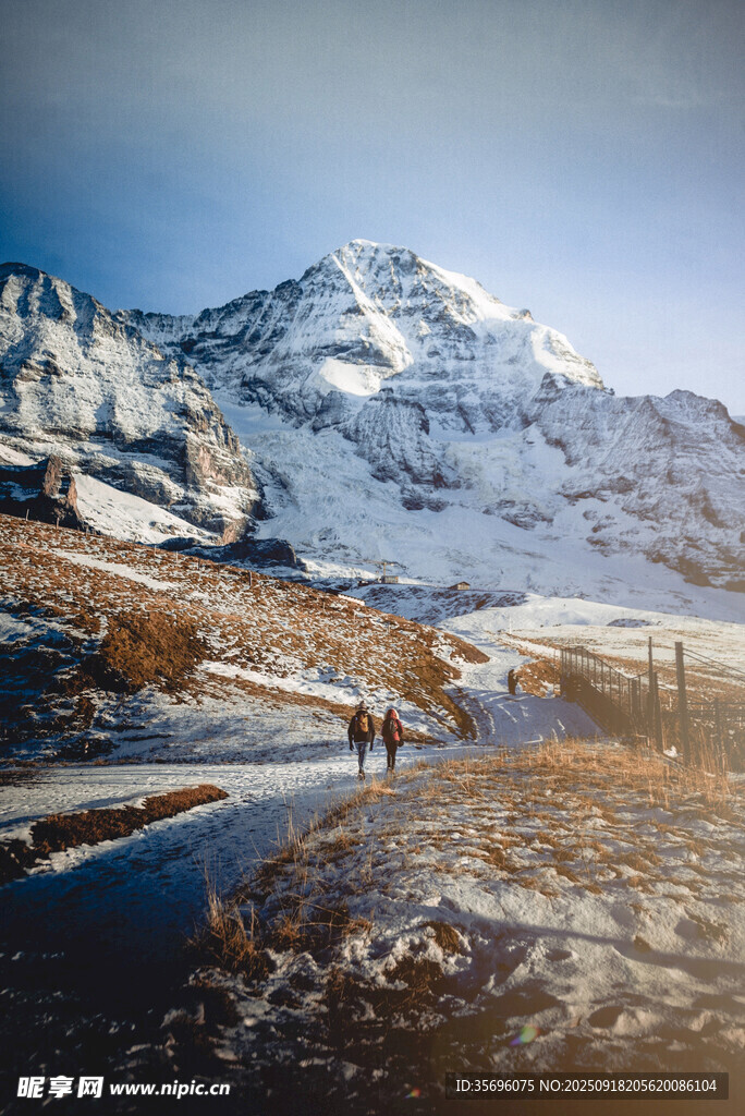 雪山下的寧靜牧場景象