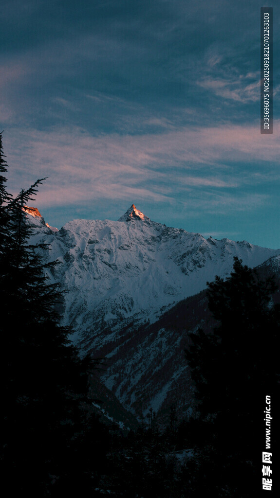 雪山暮色中的森林景觀