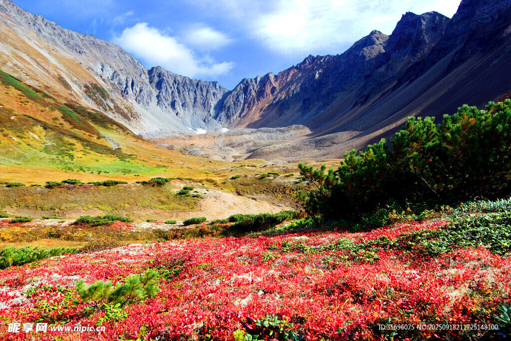 山間絢爛花海與壯麗山巒