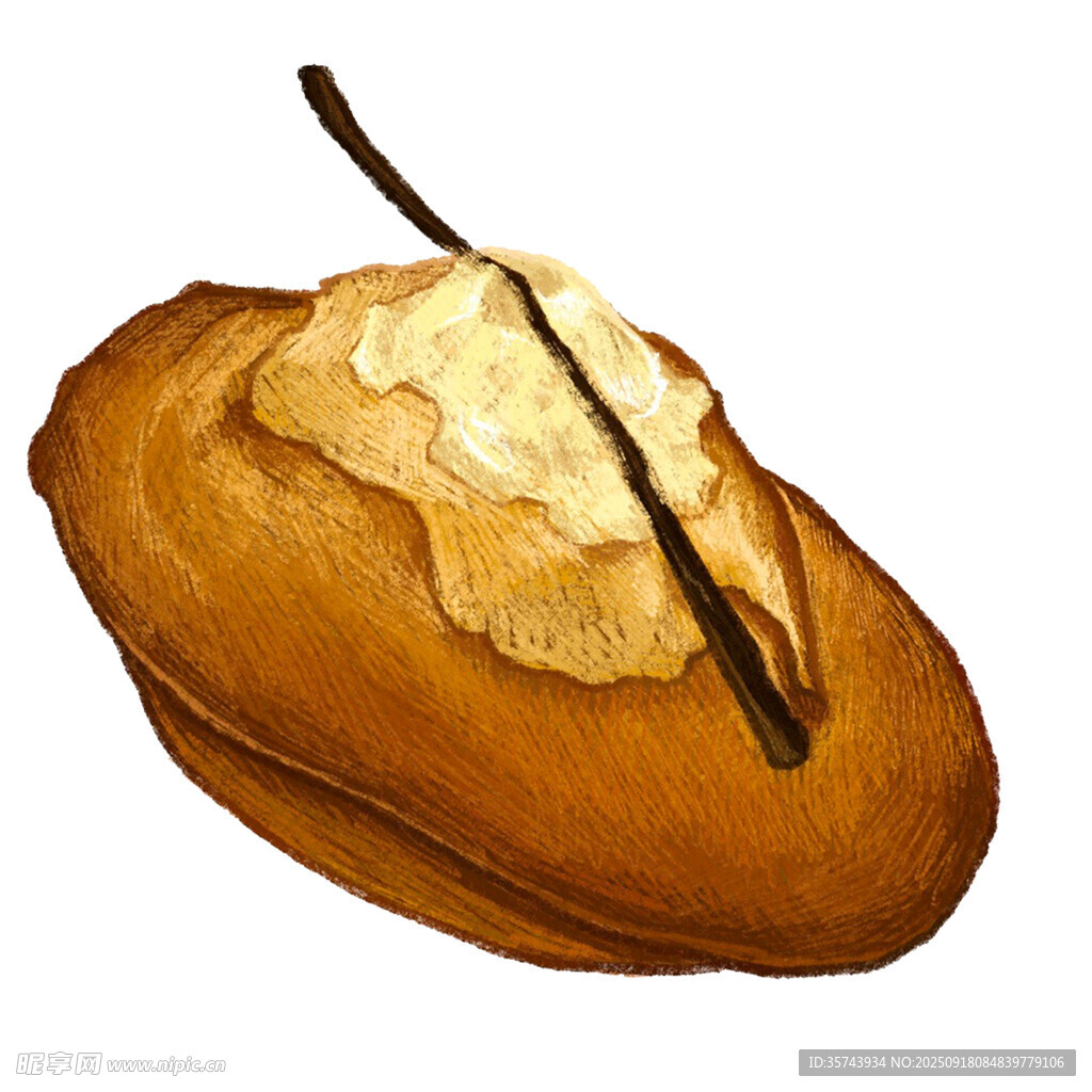 美味黃油面包插畫