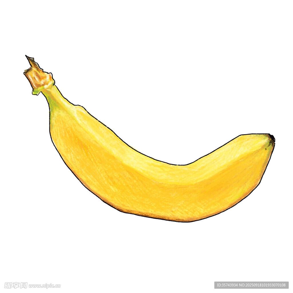 手繪黃色香蕉插畫