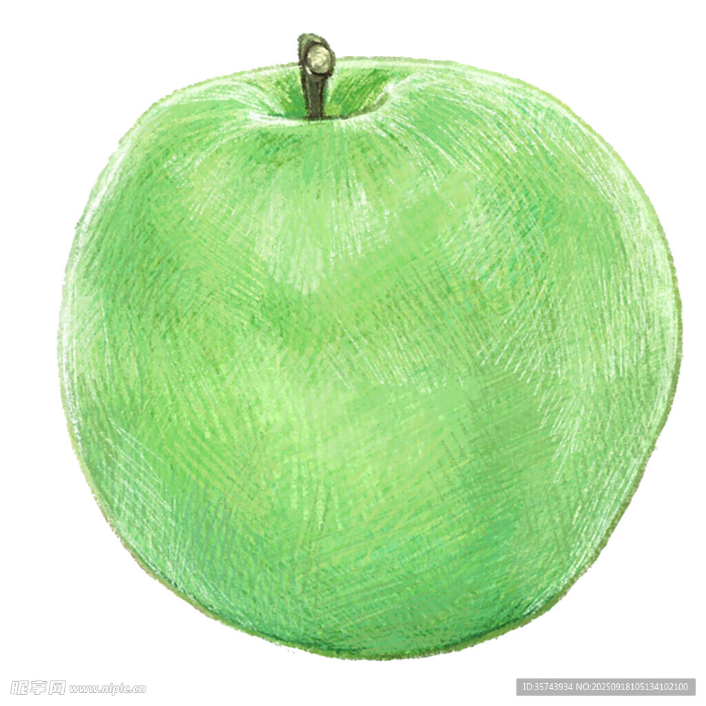 青蘋果手繪插畫
