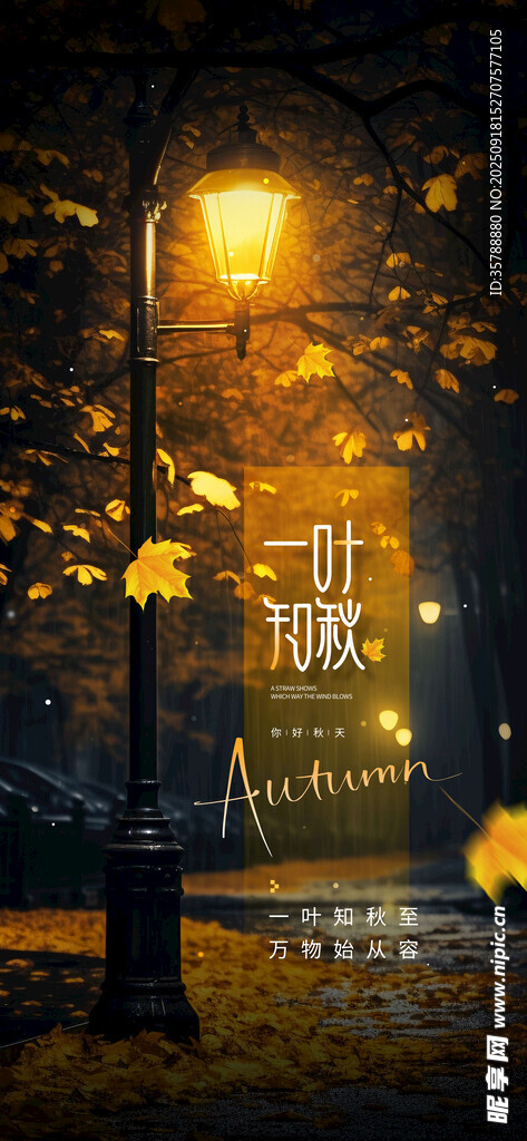 夜晚街邊點(diǎn)亮的溫暖路燈