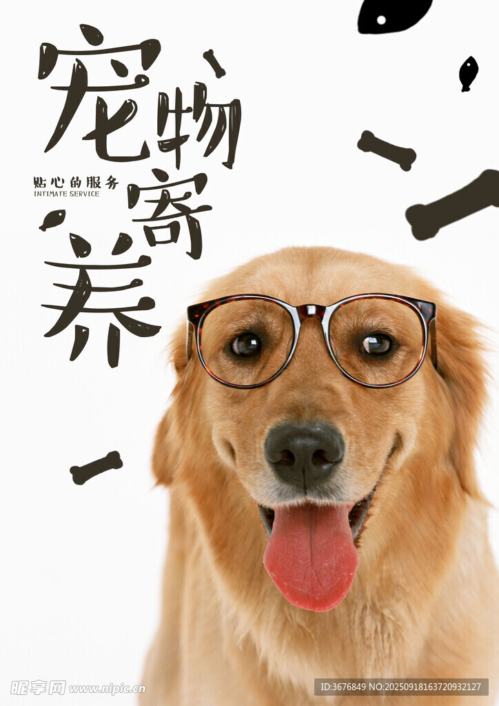 寵物寄養(yǎng)