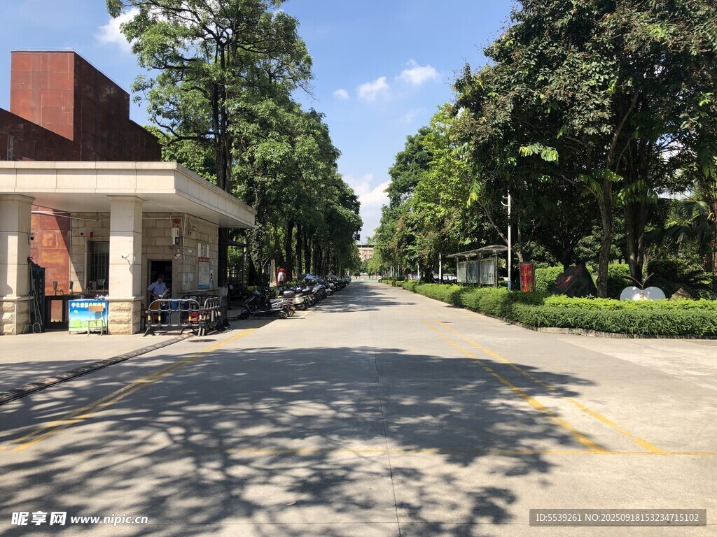 校園林蔭道旁的休閑區(qū)域