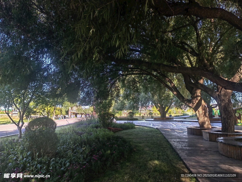 公園林蔭下的靜謐景致