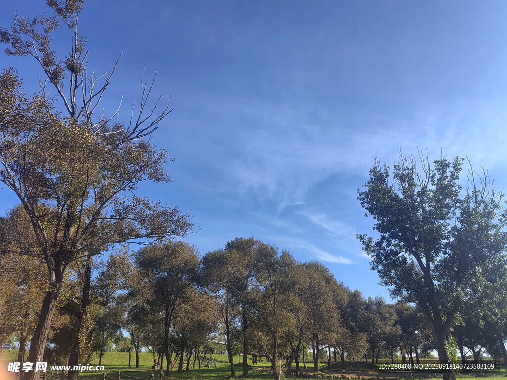 藍天綠樹的戶外風景