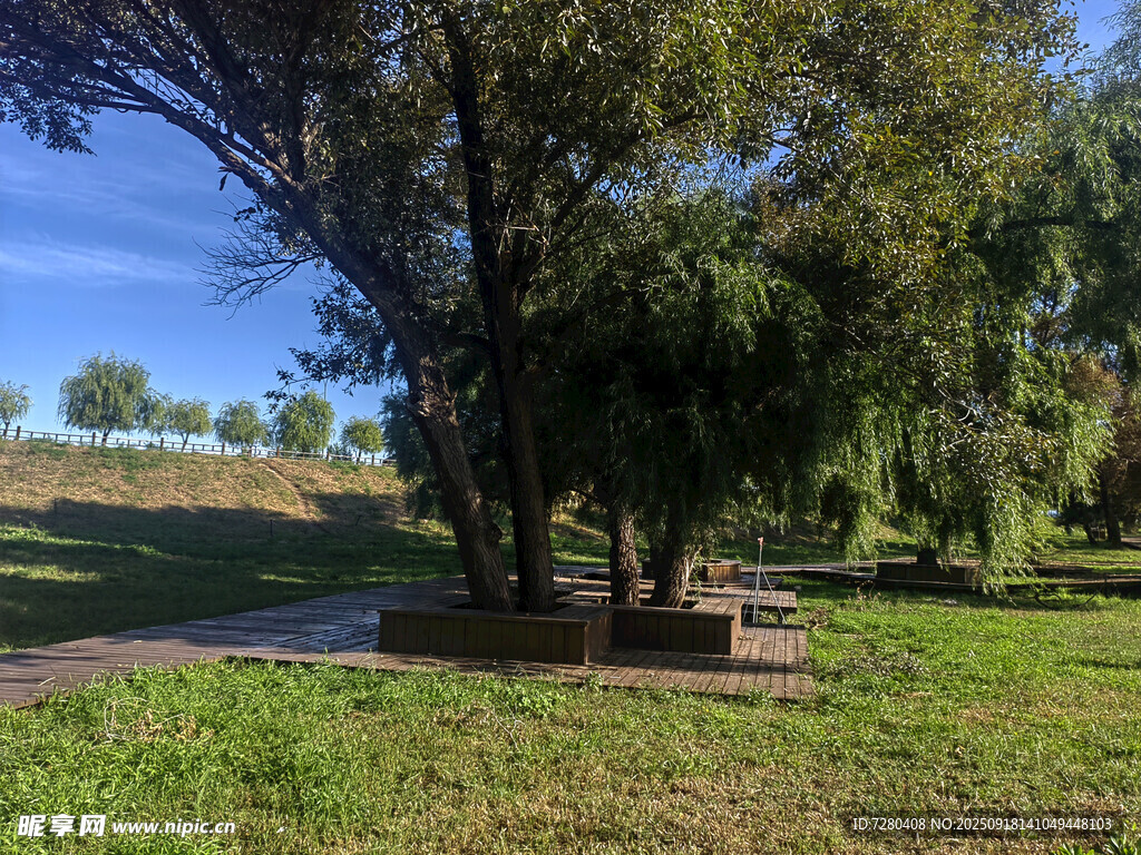公園綠蔭下的休閑場景